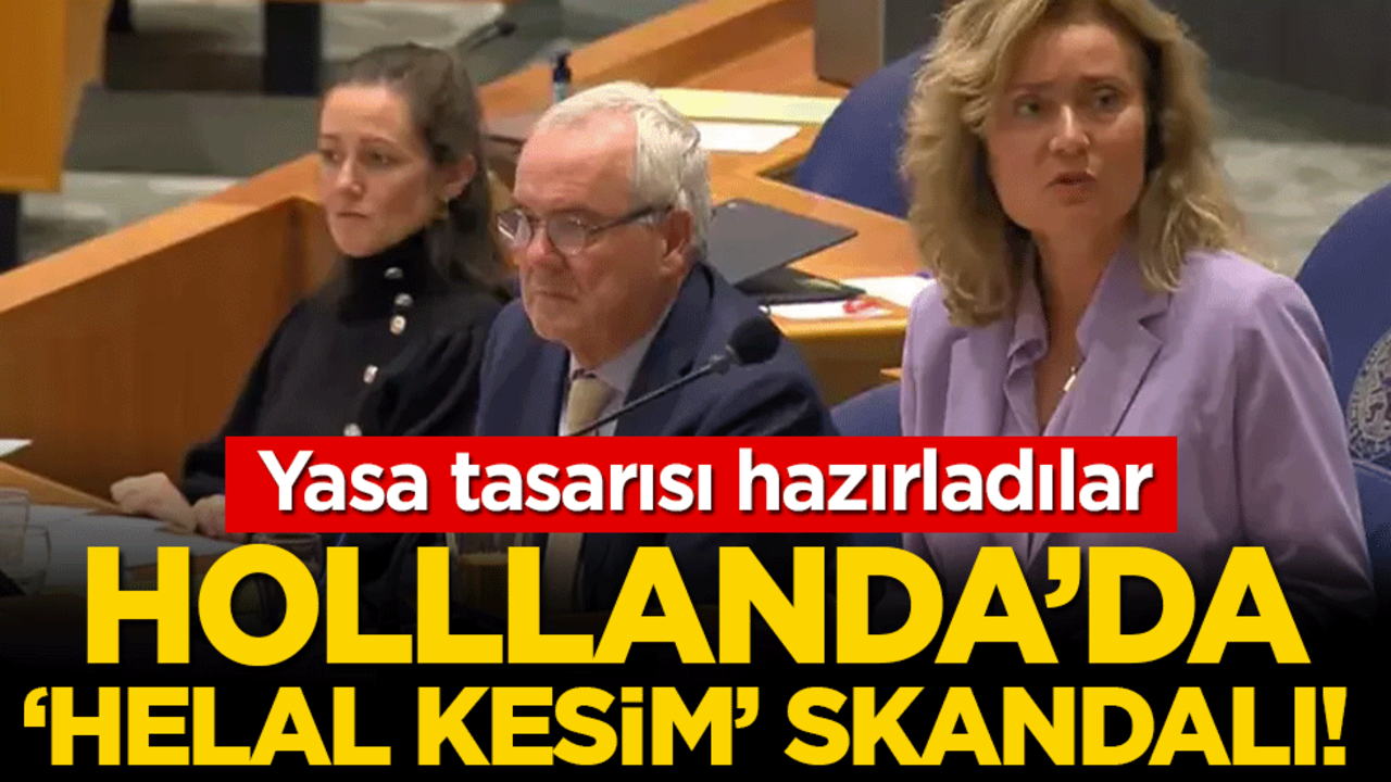 Yasa tasarısı hazırladılar: Hollanda'da 'helal kesim' skandalı!