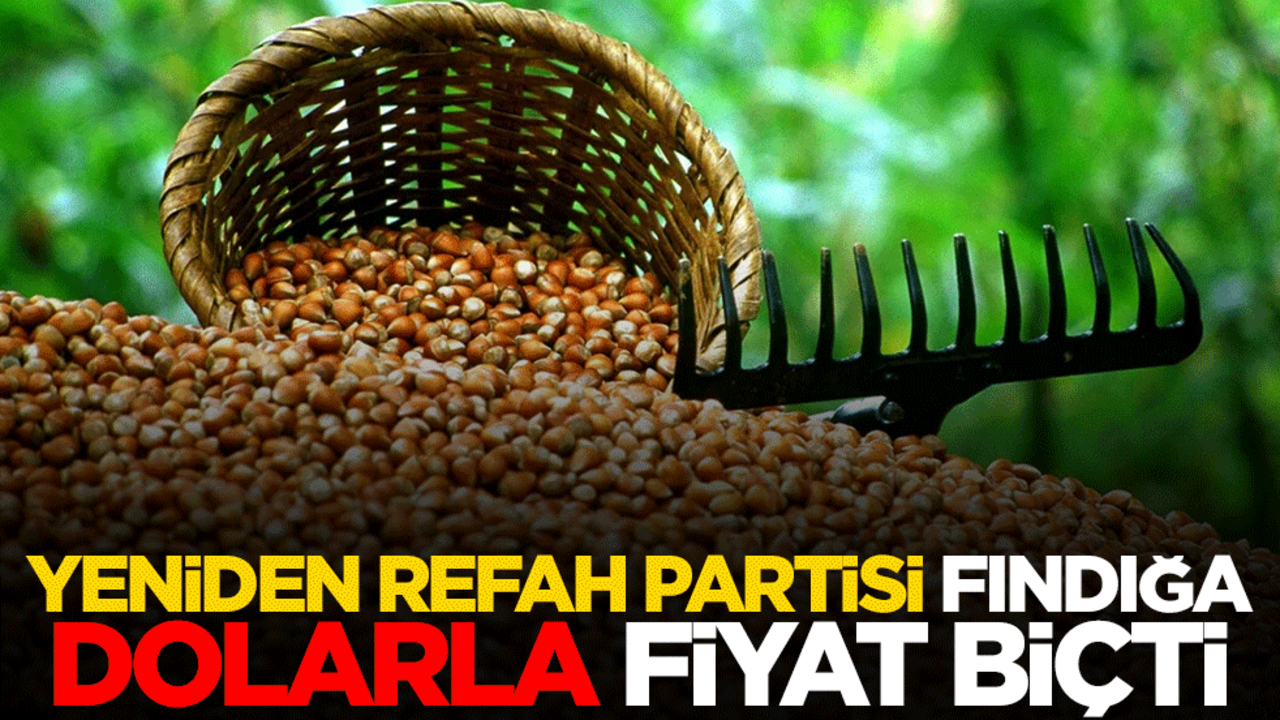 Yeniden Refah Partisi fındığa dolarla fiyat biçti