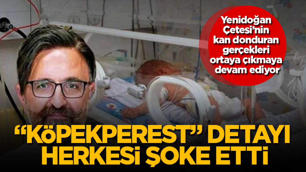 Yenidoğan Çetesi’nin kan donduran gerçekleri ortaya çıkmaya devam ediyor! "Köpekperest" detayı herkesi şoke etti