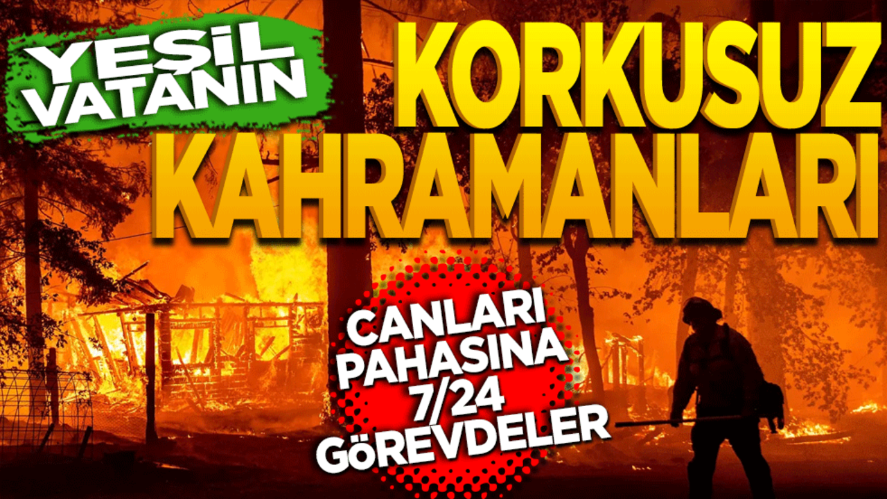 Yeşil vatanın korkusuz kahramanları! Canları pahasına 7/24 görevdeler