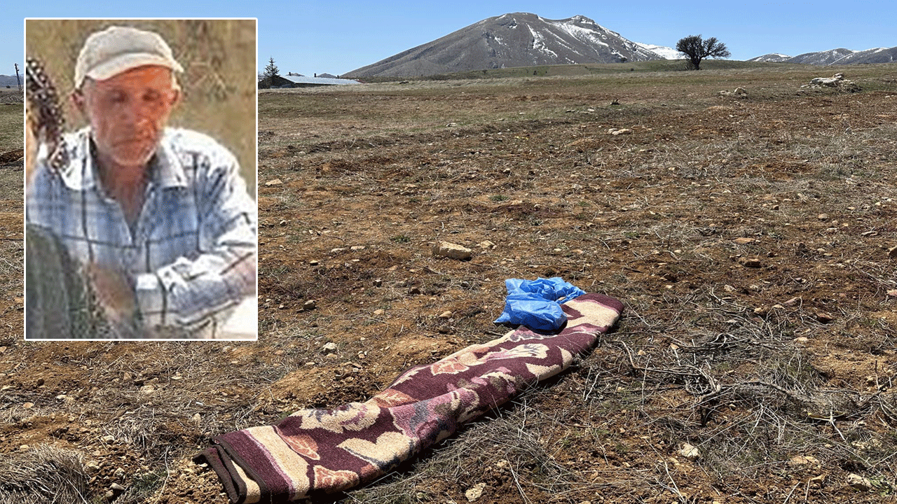 Yeter artık! Durdurun şu köpek terörünü: Yaşlı adamı parçalayarak öldürdüler