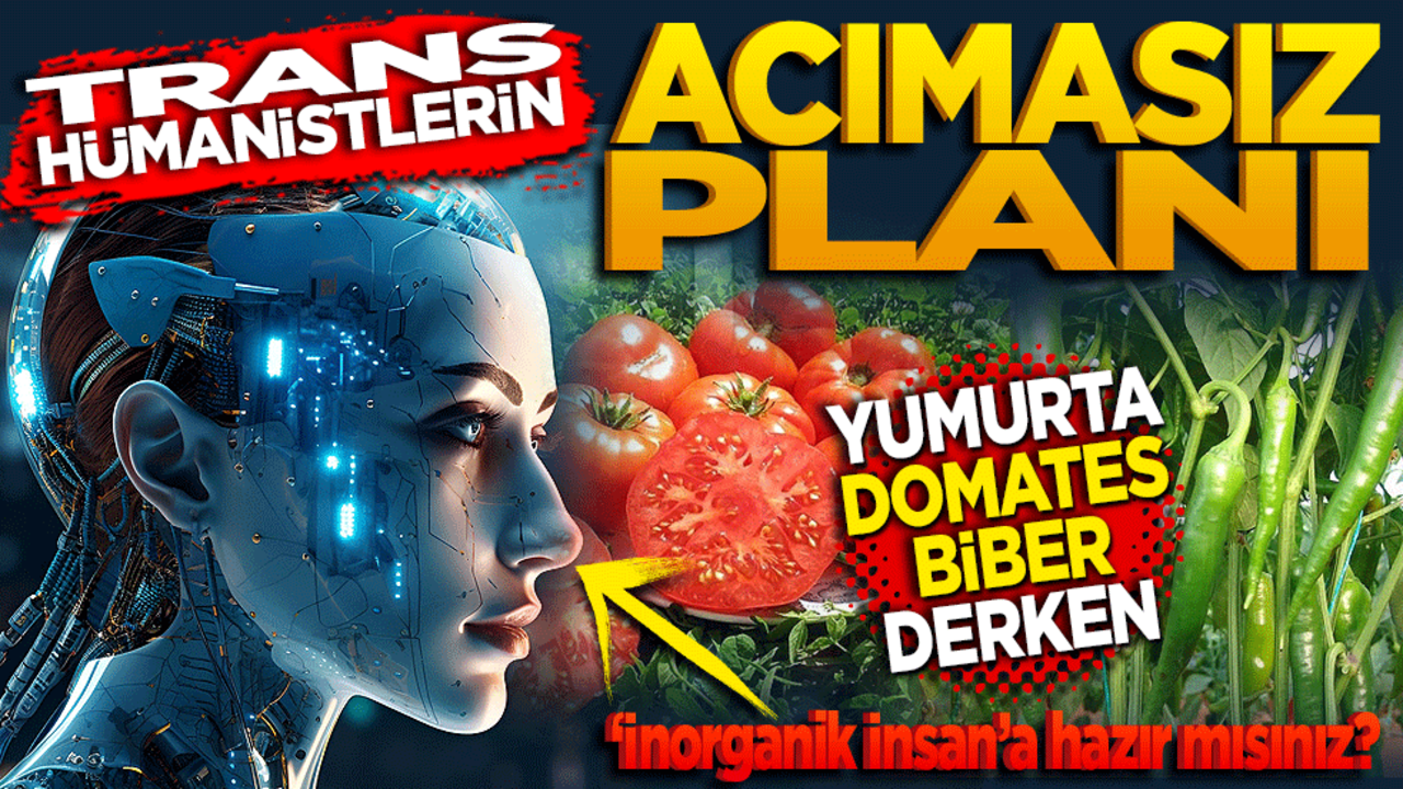 Yumurta, domates, biber derken ‘inorganik insan’a hazır mısınız? Transhümanistlerin acımasız planı