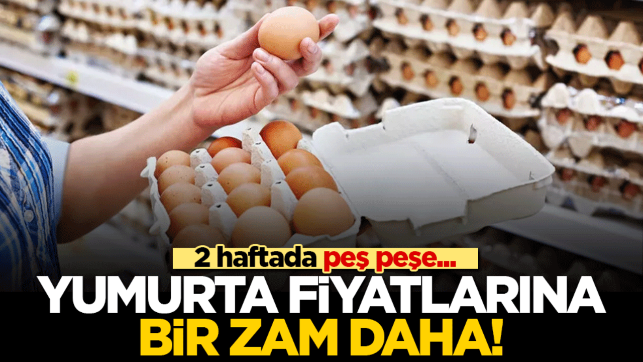 Yumurta fiyatlarına bir zam daha! 2 haftada peş peşe...