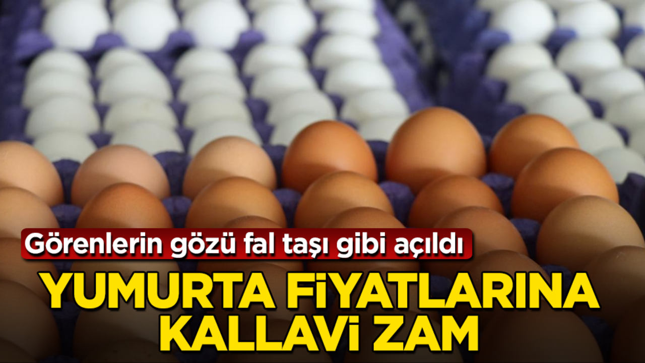 Yumurta fiyatlarına kallavi zam! Görenlerin gözü fal taşı gibi açıldı