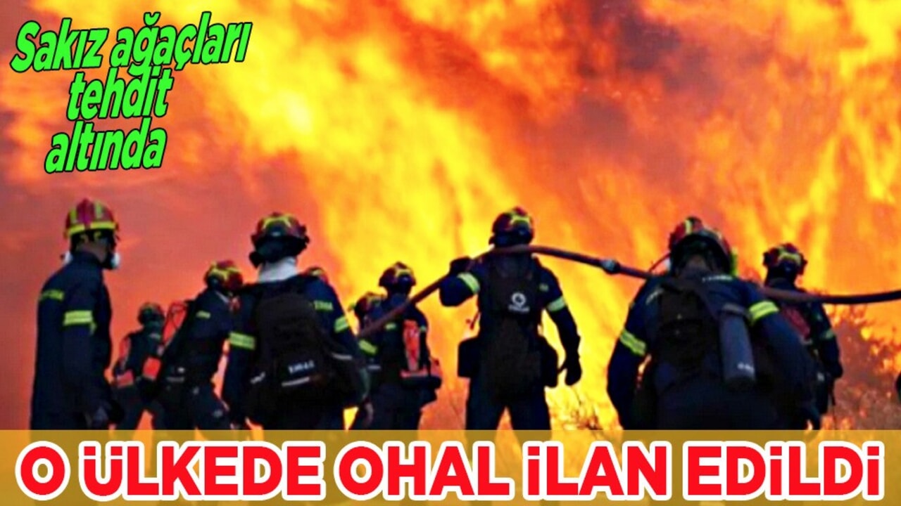 Yunanistan: Sakız Adası’nda OHAL ilan edildi! Orman yangınına müdahale başladı diyerek açıkladı
