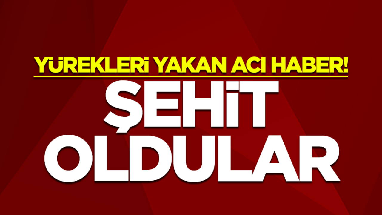 Yürekleri yakan acı haber! Şehit oldular