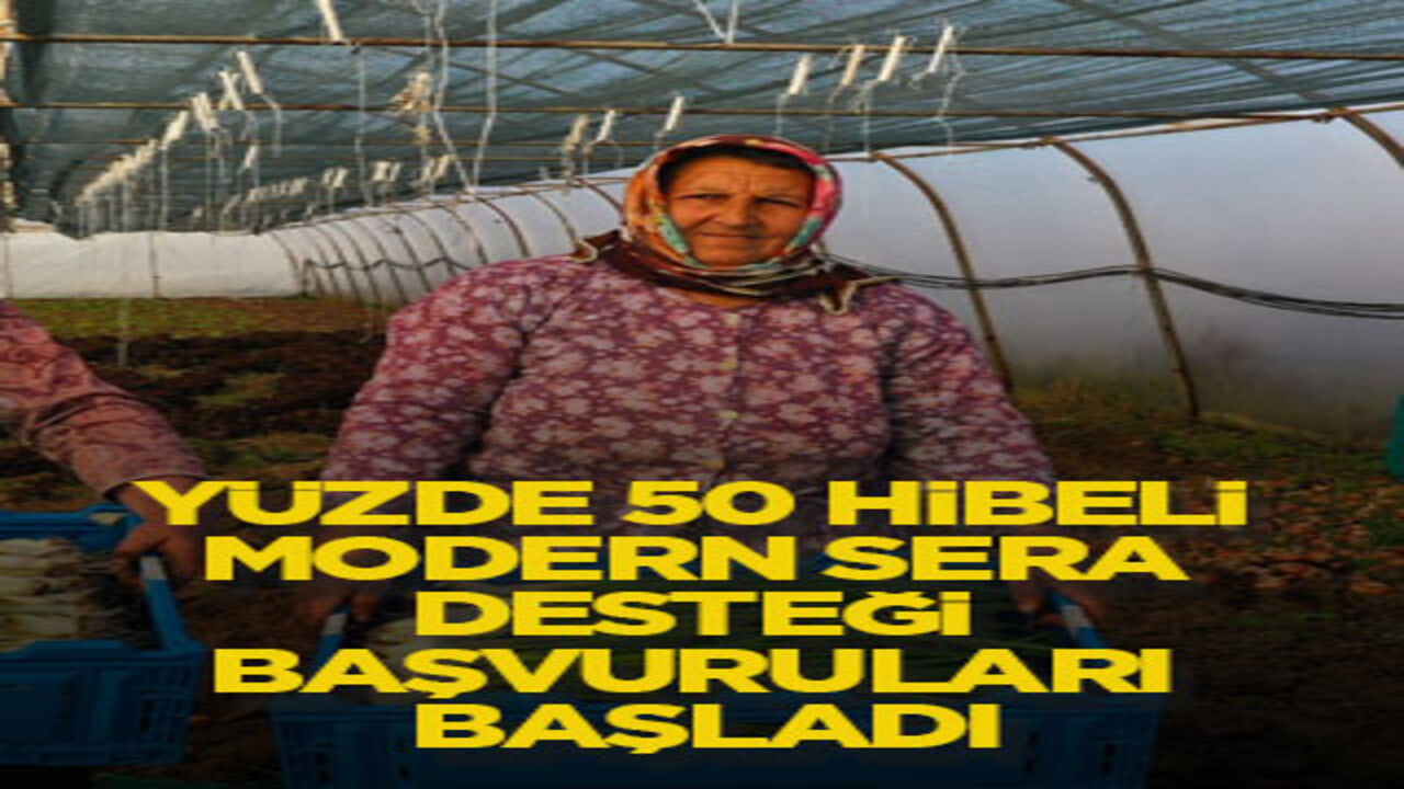 Yüzde 50 hibeli modern sera desteği başvuruları başladı