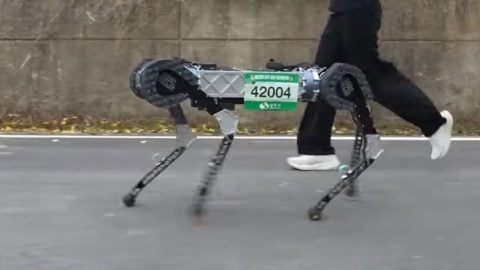 42 kilometreyi tek şarjla koştu! Robot köpek maraton tarihine geçti