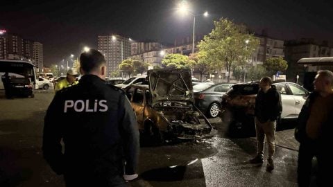 Alev alan otomobil park halindeki 3 araca zarar verdi