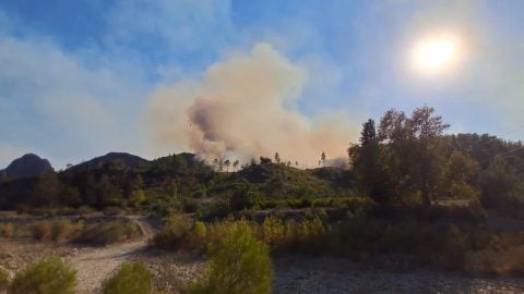 Antalya'da 2 orman yangınının kasten çıkarıldığı tespit edildi, 6 şüpheli gözaltında