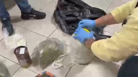 Bakın peynir bidonundan ne çıktı!