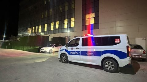 Ceviz silkelemek için ağaca çıktı! 72 yaşındaki adam hayatını kaybetti