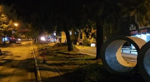 CHP’li belediye asırlık ağaçları katletti: İBB’nin ağaç kıyımına vatandaş isyanı!