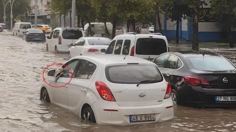 Sürücünün çaresiz mücadelesi görenleri şoke etti!