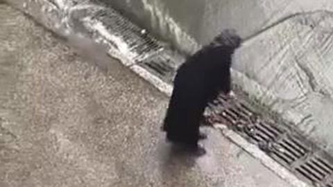 Herkes bu görüntüyü konuşuyor... Sağanak yağışın altında bakın bastonuyla ne yaptı!