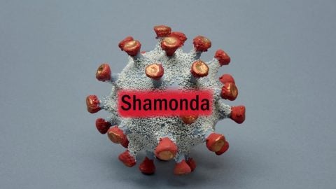 İlk kez bir insanda görülmüştü! DSÖ, Shamonda virüsünü araştırıyor