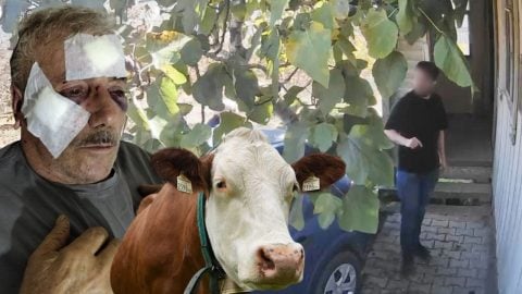 İnek bahçeye girdi, öğretmenin içinden öküz çıktı! 68 yaşındaki komşusunu muştayla hastanelik etti