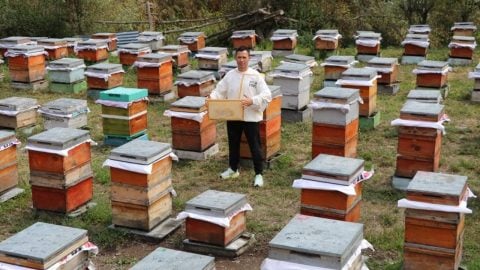 İşte, son başvuru tarihi! Arıcılara kovan başına 475 TL’ye kadar destek