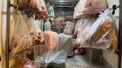 Kamyonetten 2,8 ton şüpheli et çıktı
