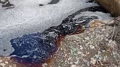 Kaynağı merak ediliyor! Yalova’da deniz kırmızıya boyandı