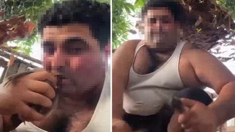 Kuşların kafasını ısırarak koparan o vahşi tutuklandı