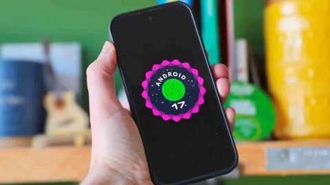 Liste belli oldu: İşte güncelleme alacak Android telefonlar
