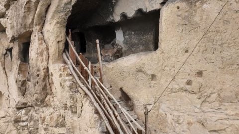 Sarp kayalardaki yapıya çıktılar! Yaban keçilerinin tarihi odalardaki gezintisi böyle görüntülendi