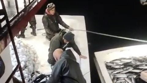 Sinop’ta bolluk ‘maşallah’ dedirtti! 5 bin palamut tekneye sığmadı