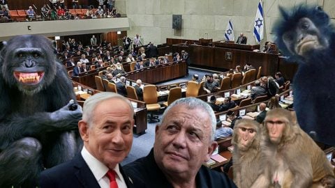  Teröristanda gündem: Şempanze, maymun, babun! Aşağılık maymunlar birbirine girdi