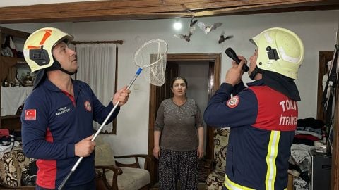 Tokat'ta bir evi işgal eden yarasalar itfaiye ekiplerince çıkarıldı