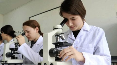Türkiye, teknolojide büyük oynuyor: Ar-Ge faaliyetlerinde rekorlar kırdık