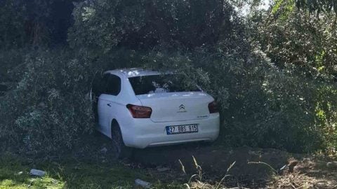 Zeytin bahçesine giren otomobilin çarptığı kişi hayatını kaybetti