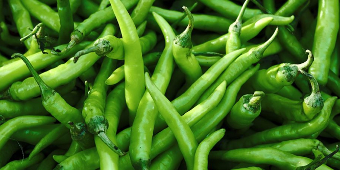 İstanbul’da zam şampiyonu sivri biber oldu