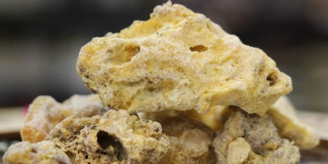 Çam sakızı sadece deyimlerde mi kullanılıyor?