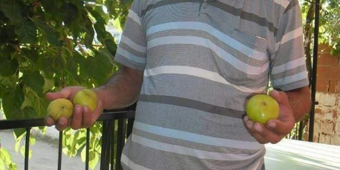 Motosikletten düşen iki çocuk babası hayatını kaybetti