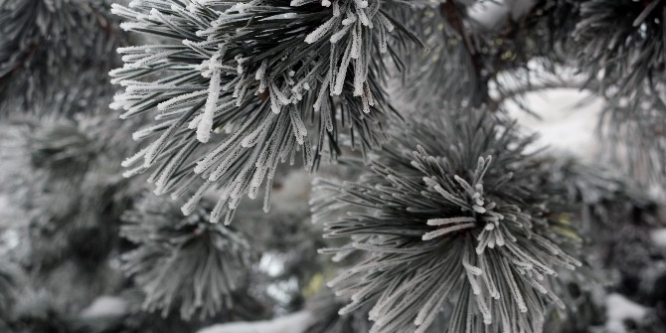 Ağrı’da kartpostallık manzaralar