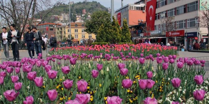 Giresun lalelerle renklendi
