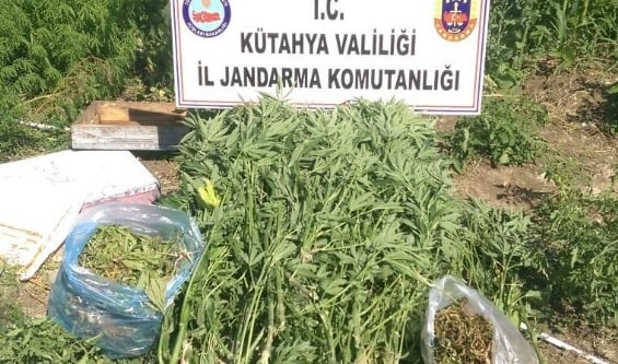 Kütahya’da uyuşturu operasyonu