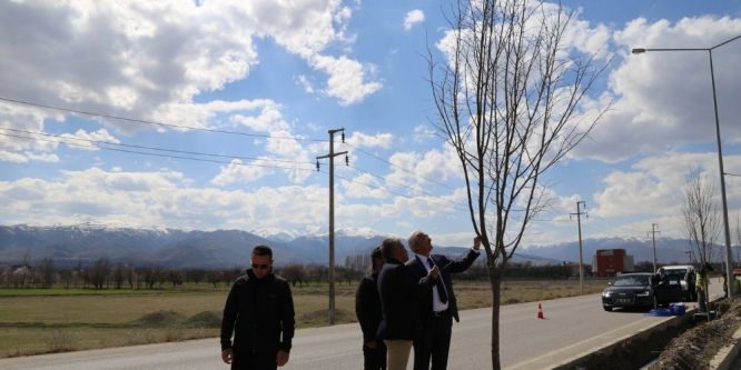 Ağaçlandırma çalışmaları devam ediyor