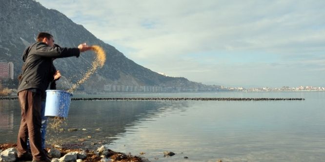 Göl kıyısına kuşlar için yem bıraktılar