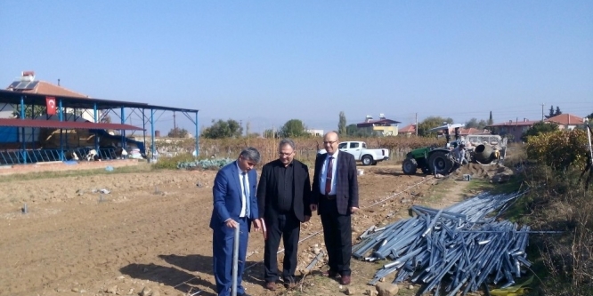 10 adet sera, üreticileri sevindirdi