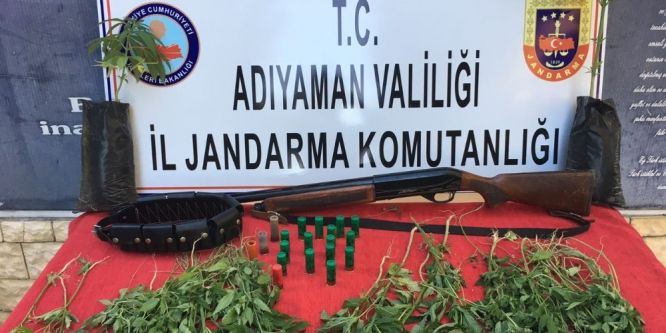 Jandarmadan uyuşturucu operasyonu