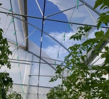 Fırtına domates serasını vurdu