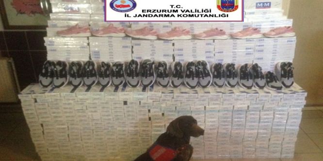 Kaçakçılara büyük darbe