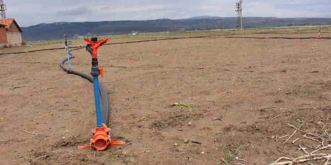 Bilinçli tarım bilinçli pazarlama