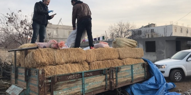 Şanlıurfa'da samanların arasından 345 kilo uyuşturucu çıktı