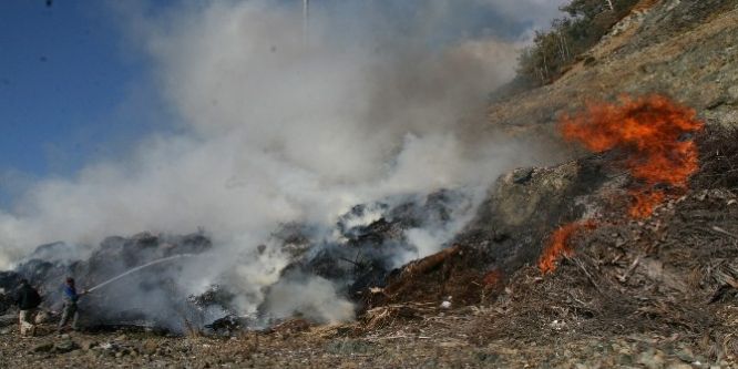 Marmaris’te yangın paniği