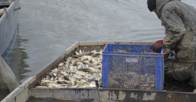 200 kilogram kaçak balık yakalandı