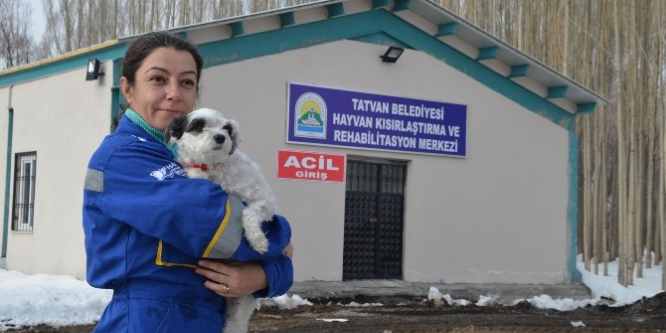 Bitlis Tatvan’da hayvan hastanesi kuruldu