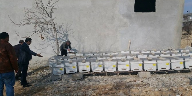 Songül Kadıoğlu, Arıcıları ziyaret etti